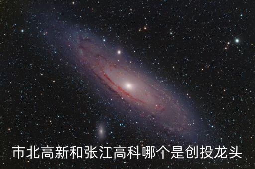 中國科技產業(yè)投資,張文良 中國科技產業(yè)投資
