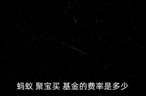 螞蟻 聚寶買 基金的費(fèi)率是多少