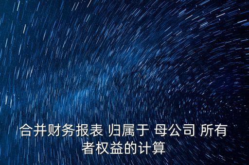 合并財務報表 歸屬于 母公司 所有者權益的計算