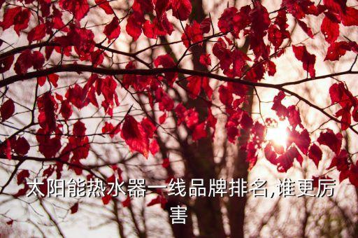 太陽(yáng)雨公益慈善基金,公益慈善基金的條件是什么?