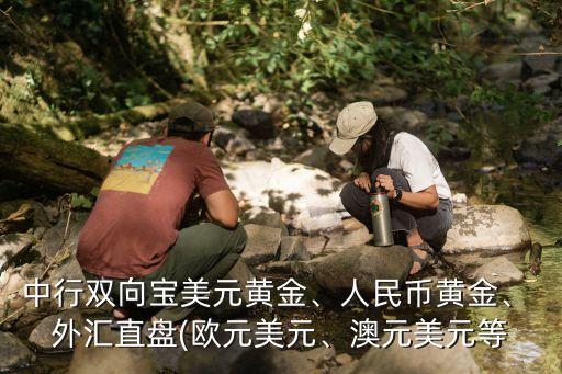 中行雙向?qū)毭涝S金、人民幣黃金、 外匯直盤(歐元美元、澳元美元等