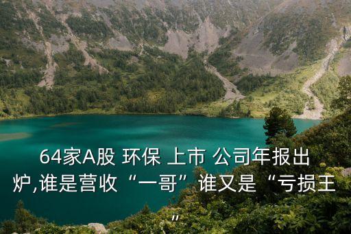 64家A股 環(huán)保 上市 公司年報(bào)出爐,誰是營(yíng)收“一哥”誰又是“虧損王”