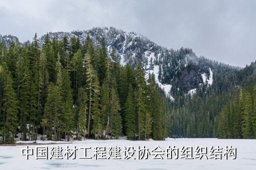 中國建材工程建設協(xié)會的組織結構
