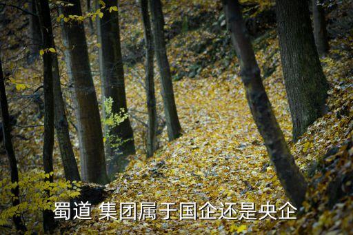 四川省鐵路集團(tuán)有限責(zé)任公司