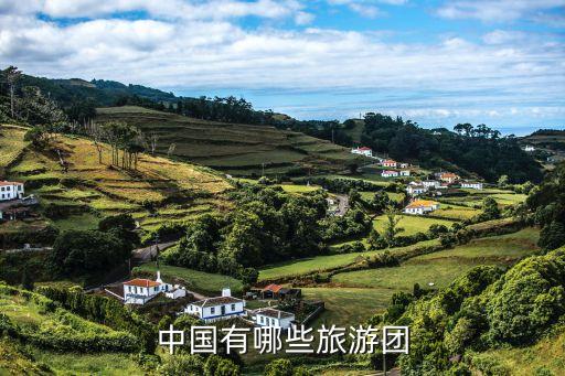 中國有哪些旅游團