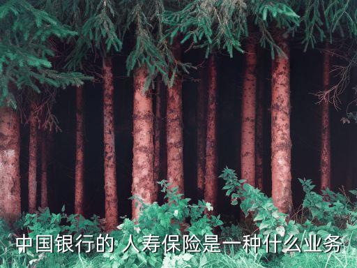 中國(guó)銀行的 人壽保險(xiǎn)是一種什么業(yè)務(wù)