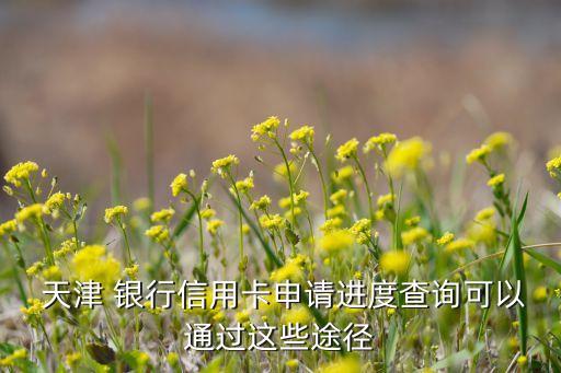  天津 銀行信用卡申請(qǐng)進(jìn)度查詢(xún)可以通過(guò)這些途徑