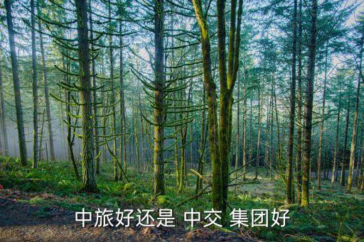中旅好還是 中交 集團好