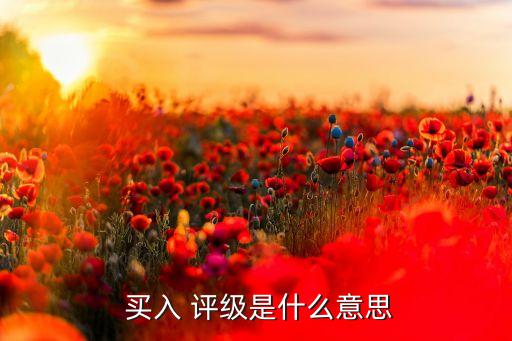  買入 評(píng)級(jí)是什么意思