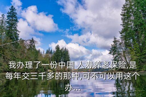 我辦理了一份中國(guó) 人壽養(yǎng)老保險(xiǎn),是每年交三千多的那種,可不可以用這個(gè)辦...