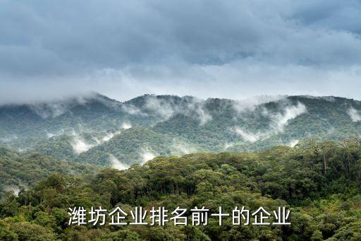 孚日集團償債能力,旺旺集團償債能力分析