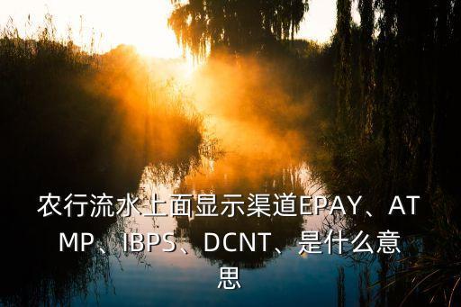 農(nóng)行流水上面顯示渠道EPAY、ATMP、IBPS、DCNT、是什么意思