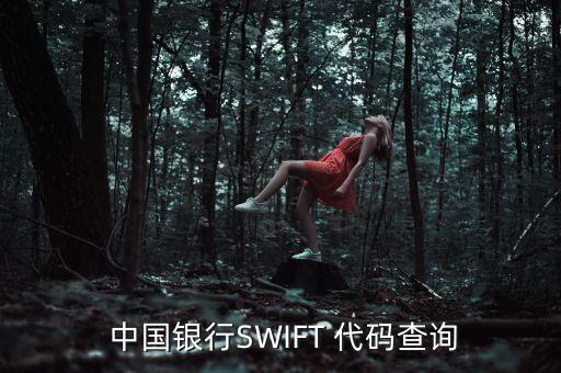  中國(guó)銀行SWIFT 代碼查詢