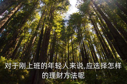 對(duì)于剛上班的年輕人來說,應(yīng)選擇怎樣的理財(cái)方法呢