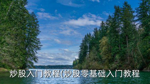 炒股入門(mén)教程(炒股零基礎(chǔ)入門(mén)教程