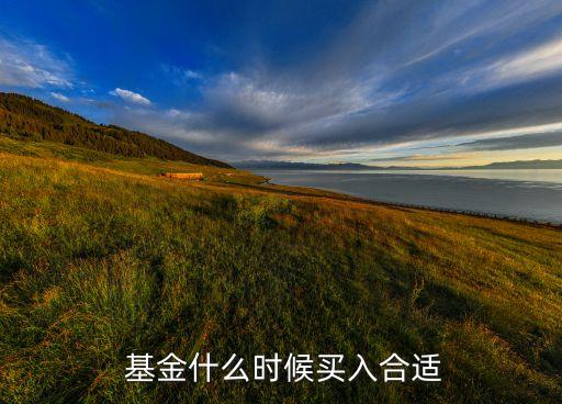 基金何時(shí)買(mǎi)進(jìn),基金買(mǎi)進(jìn)賣(mài)出的規(guī)則