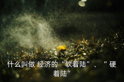 什么叫做 經(jīng)濟(jì)的“軟著陸”、“ 硬著陸”