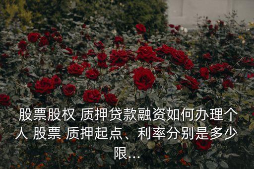  股票股權(quán) 質(zhì)押貸款融資如何辦理個(gè)人 股票 質(zhì)押起點(diǎn)、利率分別是多少限...