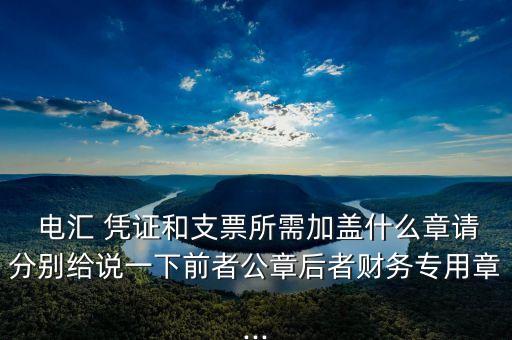 電匯 憑證和支票所需加蓋什么章請分別給說一下前者公章后者財務專用章...
