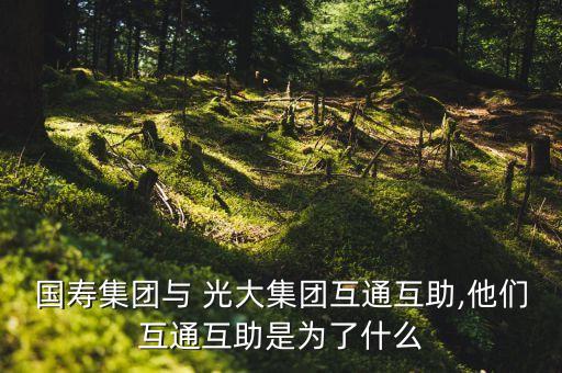 國(guó)壽集團(tuán)與 光大集團(tuán)互通互助,他們互通互助是為了什么