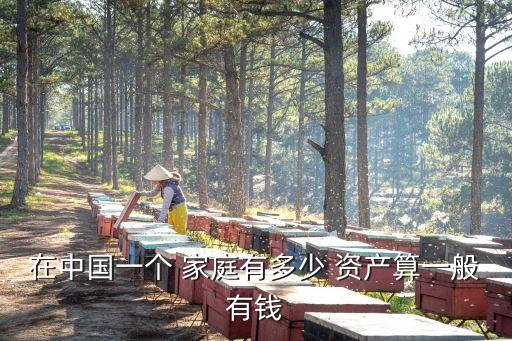 在中國一個(gè) 家庭有多少 資產(chǎn)算一般有錢