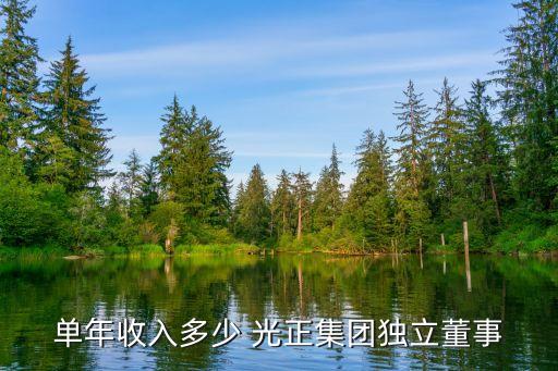 單年收入多少 光正集團(tuán)獨(dú)立董事
