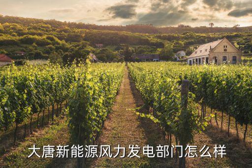 河北大唐國(guó)際風(fēng)電開(kāi)發(fā)有限公司