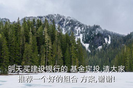 明天買建設(shè)銀行的 基金定投,請大家推薦一個(gè)好的組合 方案,謝謝!