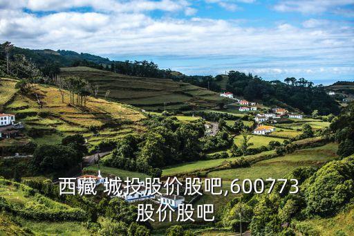  西藏 城投股價股吧,600773股價股吧