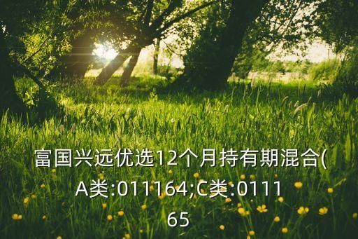  富國(guó)興遠(yuǎn)優(yōu)選12個(gè)月持有期混合(A類(lèi):011164;C類(lèi):011165