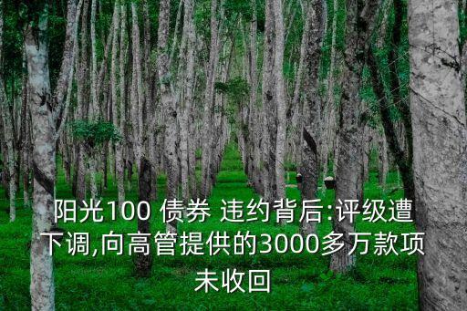 陽光100 債券 違約背后:評級遭下調,向高管提供的3000多萬款項未收回