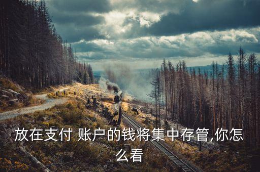 放在支付 賬戶的錢(qián)將集中存管,你怎么看