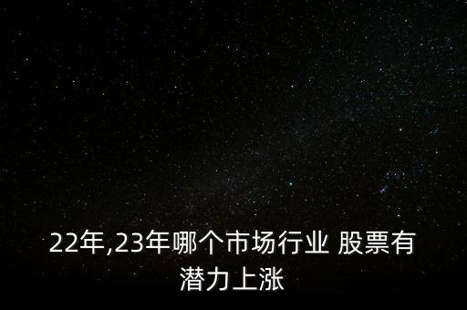22年,23年哪個(gè)市場行業(yè) 股票有潛力上漲