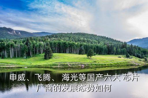 申威、飛騰、 海光等國(guó)產(chǎn)六大 芯片廠商的發(fā)展態(tài)勢(shì)如何