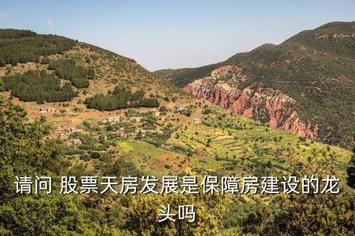 請(qǐng)問(wèn) 股票天房發(fā)展是保障房建設(shè)的龍頭嗎