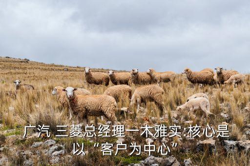 廣汽三菱汽車有限公司組織架構(gòu),長(zhǎng)沙廣汽三菱汽車有限公司詳細(xì)地址