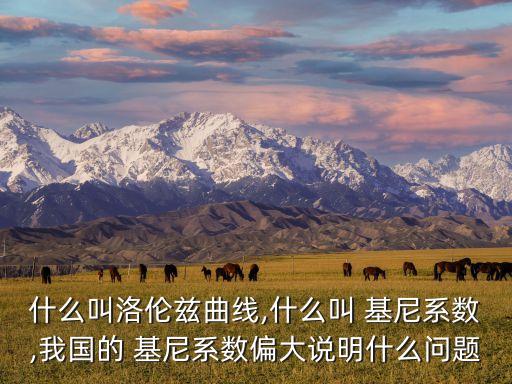 什么叫洛倫茲曲線(xiàn),什么叫 基尼系數(shù),我國(guó)的 基尼系數(shù)偏大說(shuō)明什么問(wèn)題