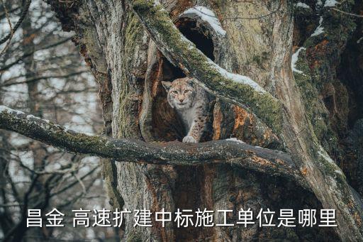 昌金 高速擴建中標施工單位是哪里