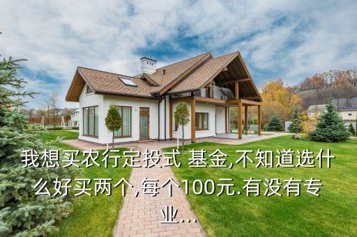 我想買農行定投式 基金,不知道選什么好買兩個,每個100元.有沒有專業(yè)...