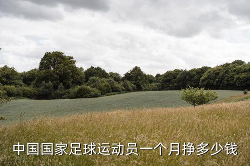 中國國家足球運(yùn)動員一個(gè)月掙多少錢
