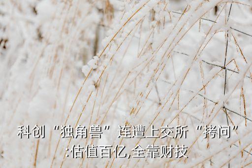  科創(chuàng)“獨(dú)角獸”連遭上交所“拷問”:估值百億,全靠財技