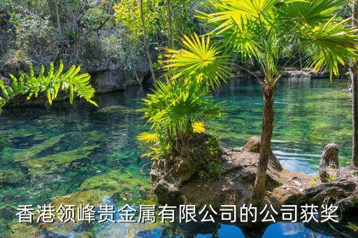 香港領(lǐng)峰貴金屬有限公司的公司獲獎(jiǎng)