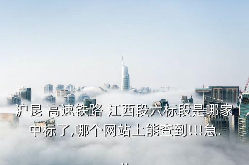 滬昆 高速鐵路 江西段六標段是哪家中標了,哪個網(wǎng)站上能查到!!!急...
