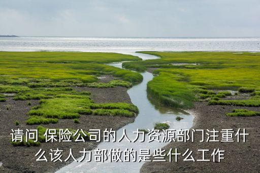 請(qǐng)問(wèn) 保險(xiǎn)公司的人力資源部門注重什么該人力部做的是些什么工作