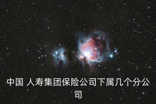 中國 人壽集團(tuán)保險(xiǎn)公司下屬幾個分公司