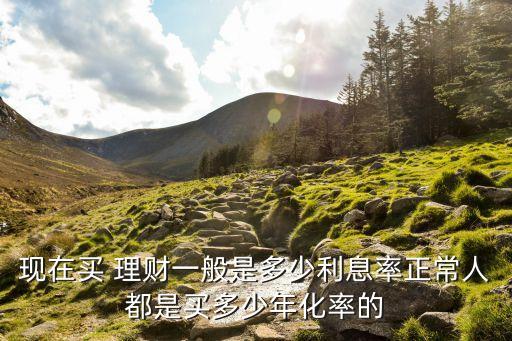 現(xiàn)在買(mǎi) 理財(cái)一般是多少利息率正常人都是買(mǎi)多少年化率的