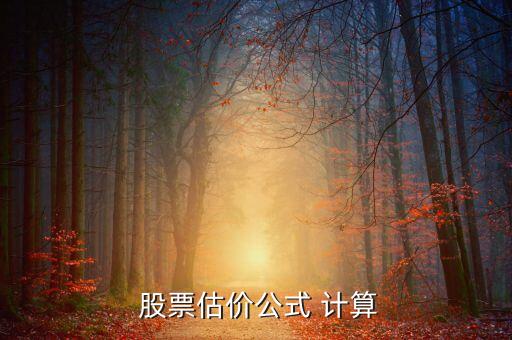 怎樣計(jì)算股票的價值,根據(jù)市盈率計(jì)算股票價值
