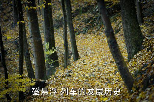 上?？罩辛熊嚰夹g(shù),上海懸掛式空中列車