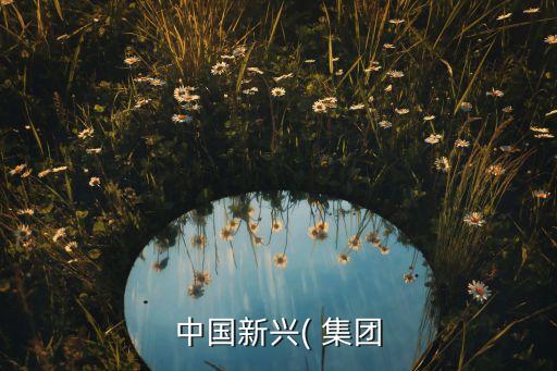 廣東乾元集團,乾元健康管理集團