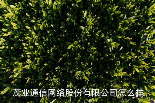  茂業(yè)通信網絡股份有限公司怎么樣